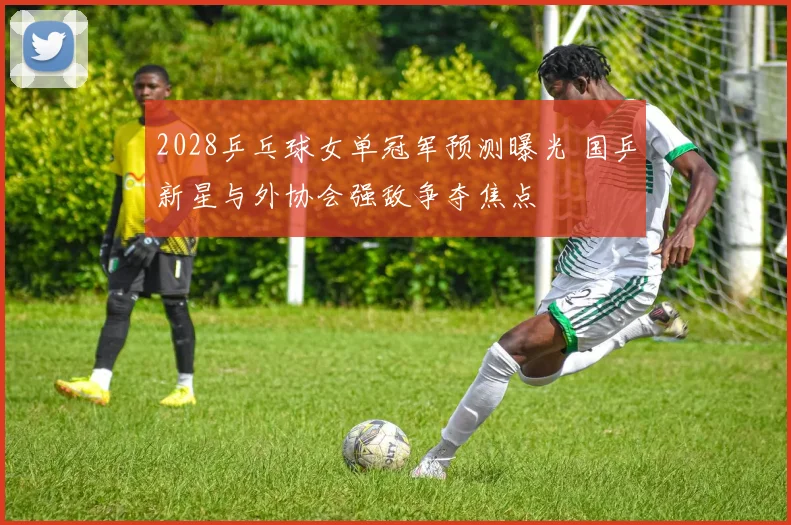 2028乒乓球女单冠军预测曝光 国乒新星与外协会强敌争夺焦点