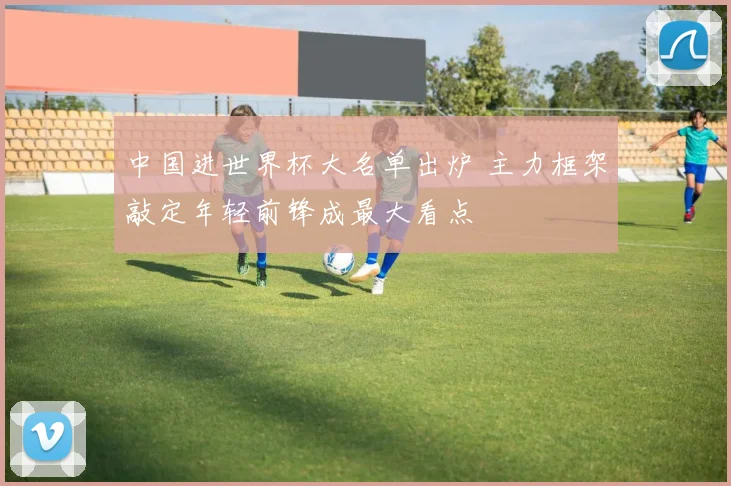 中国进世界杯大名单出炉 主力框架敲定年轻前锋成最大看点
