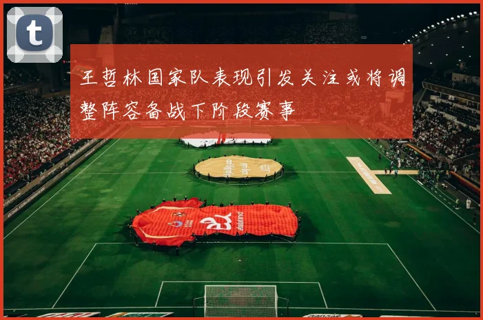 王哲林国家队表现引发关注或将调整阵容备战下阶段赛事