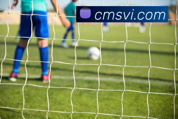 开云官方版入口品牌故事